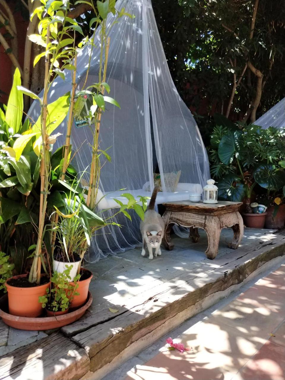 La Posada De Lola - Adults Only Hotel โบโลเนีย ภายนอก รูปภาพ